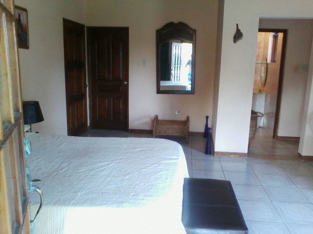 Dolphin Bay Yoga Guest House Drapers 외부 사진